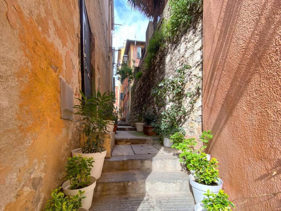 L5 2Mins Walk To The Beach Heart Of Old Town ニース エクステリア 写真